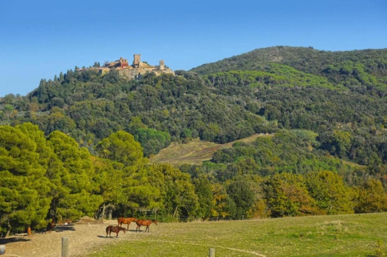 Podere le maccagnane 66 Podere Dottrina Extérieur photo